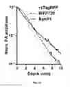Fig. 18 - REVERSIBLY SWITCHABLE PHOTOACOUSTIC IMAGING SYSTEMS AND METHODS