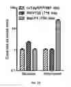 Fig. 24 - REVERSIBLY SWITCHABLE PHOTOACOUSTIC IMAGING SYSTEMS AND METHODS