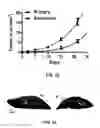 Fig. 30 - REVERSIBLY SWITCHABLE PHOTOACOUSTIC IMAGING SYSTEMS AND METHODS