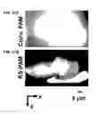 Fig. 34 - REVERSIBLY SWITCHABLE PHOTOACOUSTIC IMAGING SYSTEMS AND METHODS