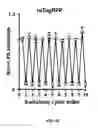 Fig. 40 - REVERSIBLY SWITCHABLE PHOTOACOUSTIC IMAGING SYSTEMS AND METHODS