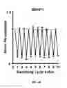 Fig. 42 - REVERSIBLY SWITCHABLE PHOTOACOUSTIC IMAGING SYSTEMS AND METHODS