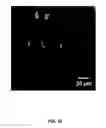 Fig. 43 - REVERSIBLY SWITCHABLE PHOTOACOUSTIC IMAGING SYSTEMS AND METHODS