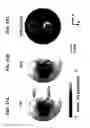 Fig. 44 - REVERSIBLY SWITCHABLE PHOTOACOUSTIC IMAGING SYSTEMS AND METHODS