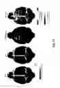 Fig. 48 - REVERSIBLY SWITCHABLE PHOTOACOUSTIC IMAGING SYSTEMS AND METHODS