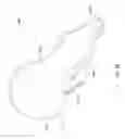 Fig. 12 - Radiolucent ECG electrode system