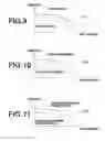 Fig. 05 - Radiographic image processing apparatus and method and recording medium storing therein radiographic image processing program