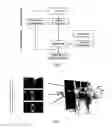 Fig. 05 - Device and Method for Image-Guided Surgery