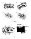Fig. 06 - Device and Method for Image-Guided Surgery