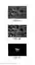 Fig. 05 - IMAGING AGENT DELIVERY METHOD AND SYSTEM THEREOF