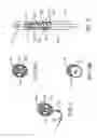 Fig. 07 - DEVICES AND SYSTEMS FOR INVERTING AND CLOSING THE LEFT ATRIAL APPENDAGE