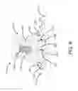 Fig. 08 - DEVICES AND SYSTEMS FOR INVERTING AND CLOSING THE LEFT ATRIAL APPENDAGE