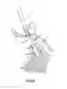 Fig. 04 - Bone anchor assembly