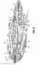 Fig. 15 - Surgical clip applier