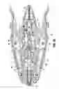 Fig. 25 - Surgical clip applier