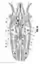 Fig. 34 - Surgical clip applier