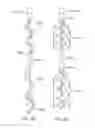 Fig. 29 - Cross-sectional modification during deployment of an elongate lung volume reduction device