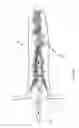 Fig. 07 - Atrial appendage occlusion systems and methods of using the same