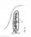 Fig. 14 - Atrial appendage occlusion systems and methods of using the same