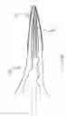 Fig. 19 - Atrial appendage occlusion systems and methods of using the same