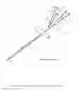 Fig. 08 - Infrared Endoscopic Probe