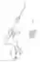 Fig. 02 - ULTRASONIC CURVED BLADE
