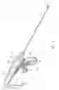 Fig. 03 - ULTRASONIC CURVED BLADE