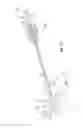 Fig. 12 - Methods and apparatus for treating vertebral fractures