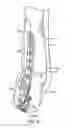 Fig. 09 - Ankle tibia plates