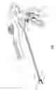 Fig. 02 - Asymmetrical electrodes for bipolar vessel sealing