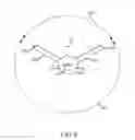 Fig. 10 - Methods and systems for spinal radio frequency neurotomy