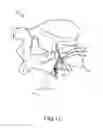 Fig. 17 - Methods and systems for spinal radio frequency neurotomy