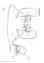 Fig. 10 - METHODS FOR THERAPEUTIC RENAL NEUROMODULATION