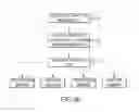 Fig. 19 - Graphical user interface for real-time RF lesion depth display
