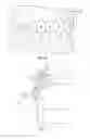 Fig. 08 - Method and apparatus for restoring improper morphology of the alveolar bone