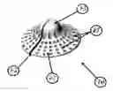 Fig. 01 - Implantable nipple assembly