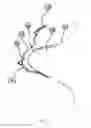 Fig. 03 - Implantable nipple assembly