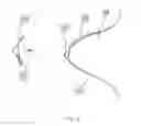 Fig. 04 - Implantable nipple assembly