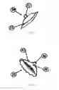 Fig. 08 - Implantable nipple assembly