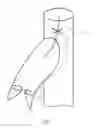 Fig. 05 - Prosthetic valve for treating diseases causing reflux affecting the lower limbs