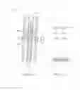 Fig. 12 - BRACE FOR PROTECTING A REGION OF A LIMB
