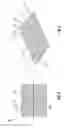 Fig. 05 - ABSORBENT ARTICLE COMPRISING A THREE-DIMENSIONAL SUBSTRATE