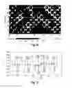 Fig. 30 - ABSORBENT ARTICLE COMPRISING A THREE-DIMENSIONAL SUBSTRATE