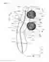Fig. 03 - COSMETIC DEVICE
