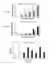 Fig. 06 - Multifunctional nanoparticle systems and methods for cancer diagnosis and combination therapy