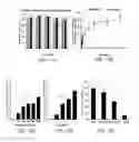Fig. 10 - Multifunctional nanoparticle systems and methods for cancer diagnosis and combination therapy
