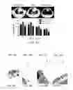 Fig. 11 - Multifunctional nanoparticle systems and methods for cancer diagnosis and combination therapy