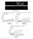 Fig. 12 - Multifunctional nanoparticle systems and methods for cancer diagnosis and combination therapy