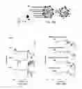 Fig. 13 - Multifunctional nanoparticle systems and methods for cancer diagnosis and combination therapy