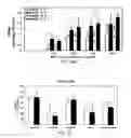 Fig. 17 - Multifunctional nanoparticle systems and methods for cancer diagnosis and combination therapy
